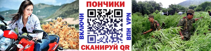 магазин наркотиков Заводоуковск Канабис семена